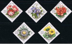 MOUNTAIN FLOWERS = full set of 5 = Russia 1981 Sc 4943-47 MNH