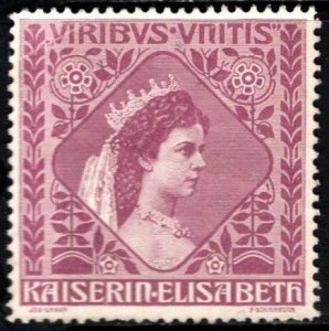 1908 Austria Poster Stamp Kaiserin Elisabeth To Combat Tuberculosis In Childhood
