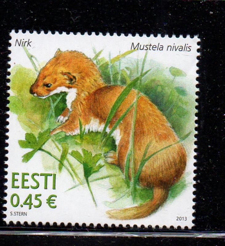 Estonia Sc 733 2013 Weasel stamp mint NH