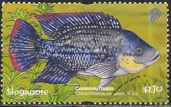 Singapore 1484 Used - Pond Life - Mozambique Tilapia (Oreochromis mossambicus)