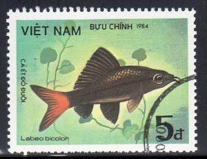 Viet Nam 1410 - Cto -  Red-Tailed Black Shark