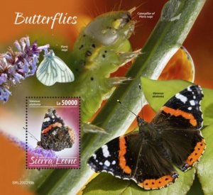 Sierra Leone - 2020 Red Admiral Butterfly - Stamp Souvenir Sheet - SRL200215b