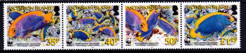 Ascension Island 2007 Angelfish - WWF Complete Mint MNH Set Strip SC 904-907
