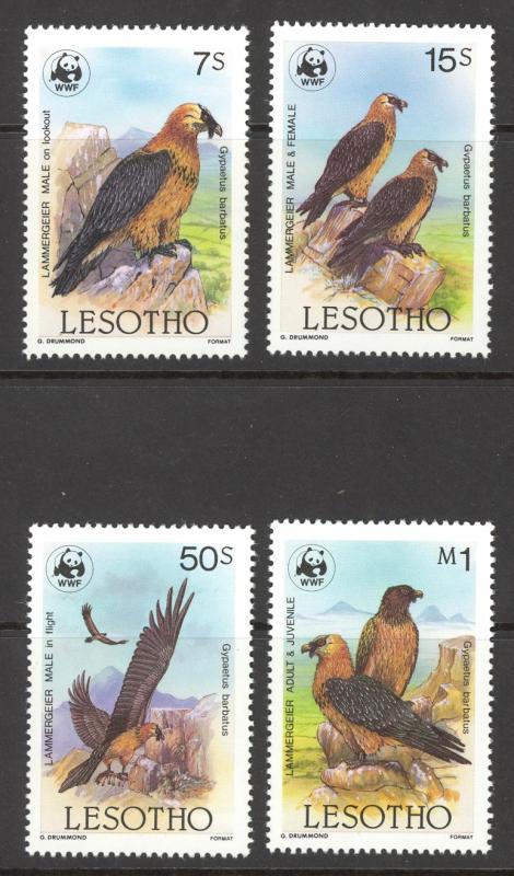 Lesotho Sc# 512-515 MNH 1986 7sh-1m Lammergeier Vulture