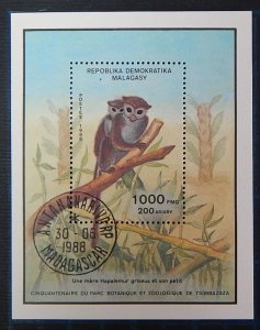 Animals, Madagascar, (2639-Т)