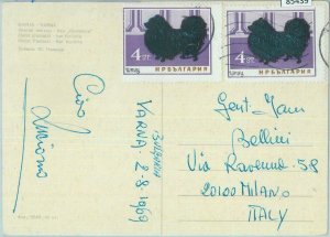 85439 - BULGARIA - Postal History - STAMPS on POSTCARD to Italy - DOGS 1969