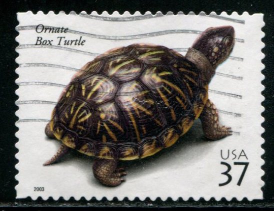 3818 US 37c Ornate Box Turtle SA, used