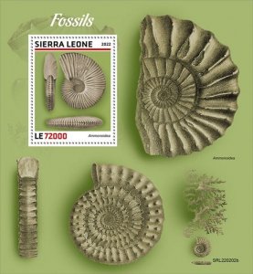 Sierra Leone - 2022 Fossils, Ammonoidea - Stamp Souvenir Sheet - SRL220202b