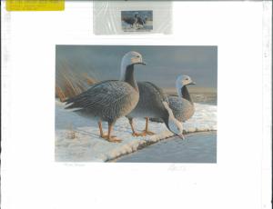 ALASKA #1 1985  STATE DUCK STAMP PRINT MEDALLION ED EMPEROR GEESE  List $400