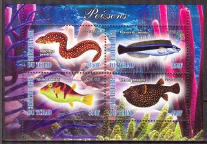 Chad 2013 Marine Life Fishes I Sheet MNH** Cinderella !