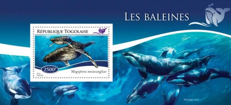 Whales Wale Animals Marine Fauna Togo MNH stamp set