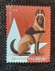 US Scott # 5407; used Forever (55c) Belgian Malinois from 2019; VF centering
