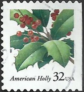 # 3177 USED HOLLY