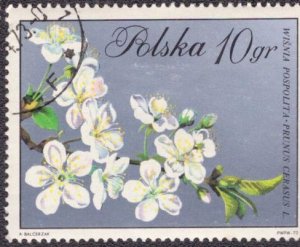Poland 1860 1971 Used