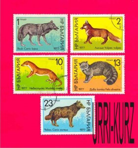 BULGARIA 1977 Nature Fauna Wild Animals Wolf Fox Cat 5v Sc2404-2408 Mi2597-2601