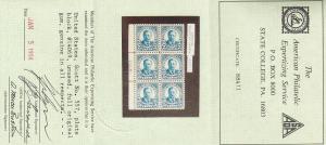 557 VF-XF OG never hinged plate block of 6 APS cert with nice color ! see pic !
