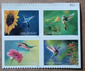 US #5845-5848 (68c) Garden Delights MNH block of 4 plate #P1111 (2024)