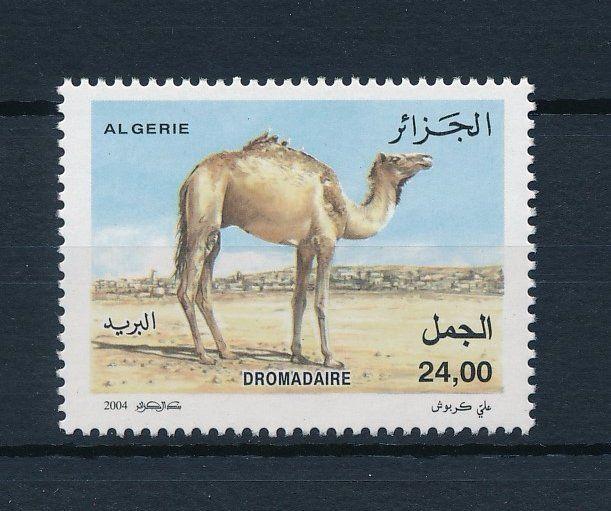 [30883] Algeria 2004 Animals Mammals Camel MNH