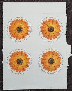 US Scott # 5680; ($1.30) Global rate from 2022; MNH, og, on backing; VF; blk4