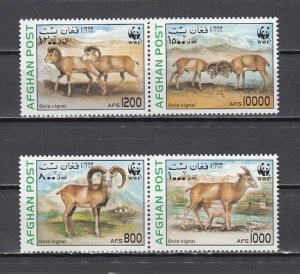 Afghanistan, 1998 issue. Ovis shown on W.W.F. issue. ^