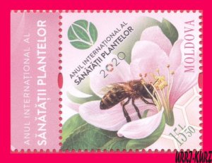 MOLDOVA 2020 International Year Plant Health Flora Fauna Insect Bee on Flower 1v