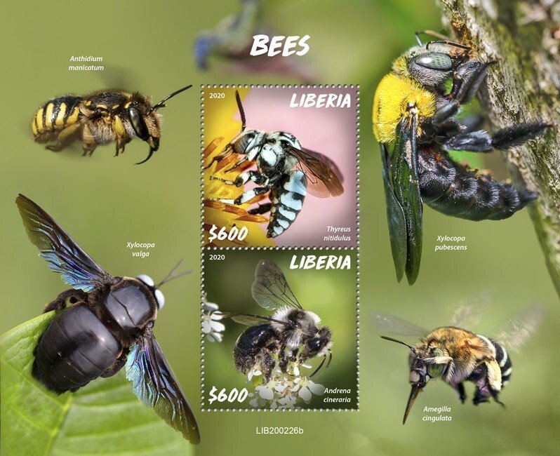 Stamps LIBERIA 2020 - BEES.