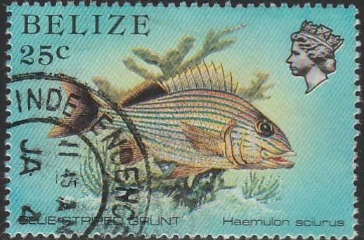 Belize, #707  Used From 1984