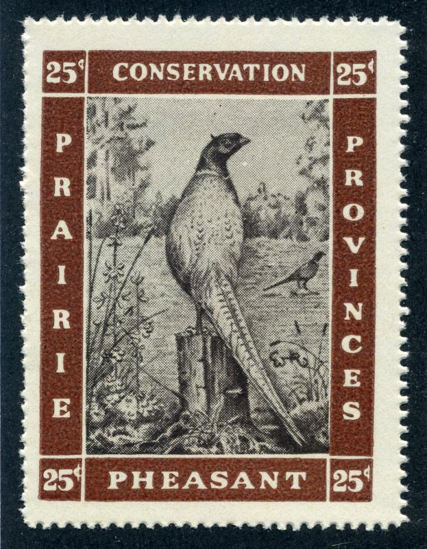 Van Dam PC1 - MNHOG - Perforations all Around - Pheasant - Prairie Conservation