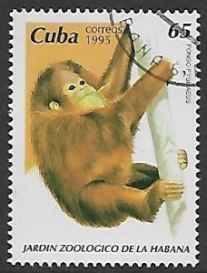 Cuba # 3676 - Orangutan - unused CTO.....{Z18}