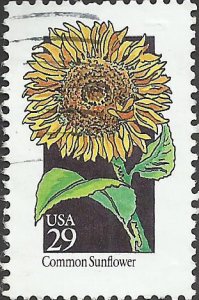 # 2666 USED COMMON SUNFLOWER