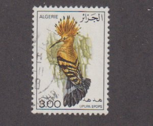 Algeria - 1977 - SC 598 - Used - High value