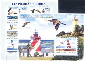 2009 Headlights and Birds.