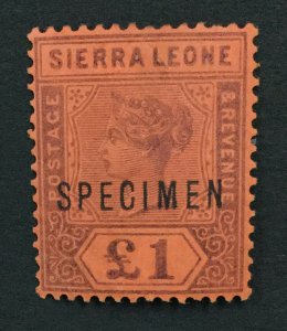MOMEN: SIERRA LEONE SG #53s SPECIMEN MINT OG H LOT #191839-649