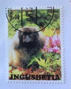 Russia, Ingushetia Illegal local Stamps 2000 - 5 r, dog breed , Pekingese