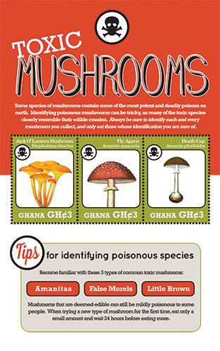 Ghana 2012 - Mushrooms - Sheet of 3 Stamps - Scott #2713 - MNH