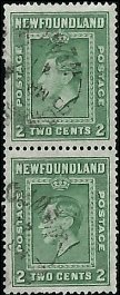 NEWFOUNDLAND   #245 USED PAIR (2)
