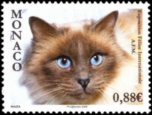 Monaco #2532, Complete Set, 2009, Cats, Never Hinged
