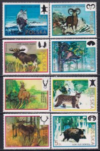 Poland 1973 Sc 1971-8 Wolf Mouflon Moose Deer Lynx Boar Capercaille Stamp MNH