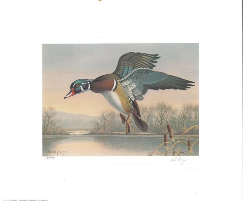 WASHINGTON #6 1991 STATE DUCK STAMP PRINT WOOD DUCK BY rONALD lOUQUE