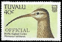 TUVALU   #O40 USED (1)