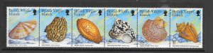 SHELLS - BRITISH VIRGIN ISLANDS #919  MNH