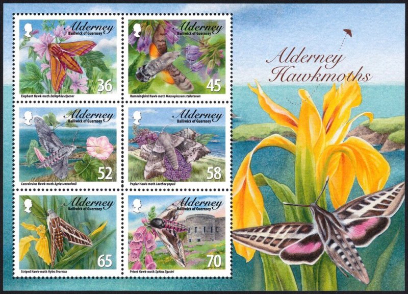 Alderney 2011 MNH Stamps Souvenir Sheet Scott 402a Insects Butterflies Hawkmoths