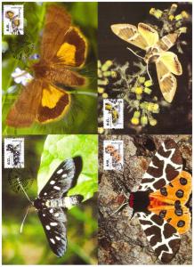 Bulgaria 2004  a set of 4 maximumcards Butterflies 