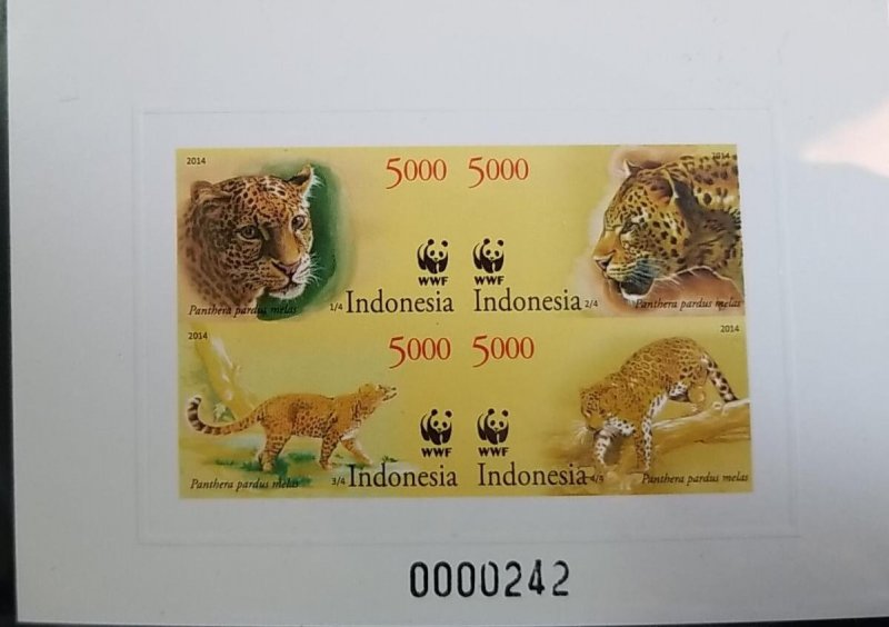 O) 2014 INDONESIA, PROOF, WWF - ENDANGERED SPECIES CONSERVATION, PANTHERA PARDUS