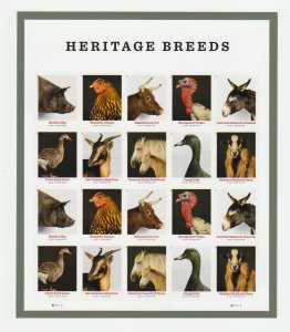 US 5583-5592 Imperf Without / No Die Cut NDC 2021 Heritage Breeds Pane of 20 #1