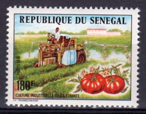 Senegal 1976 Sc#434 Mechanized Tomato Harvest (1) MNH