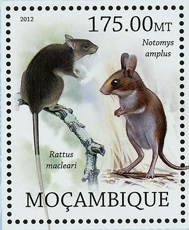 Rodent Stamp Notomys Amplus Rattus Macleari Conilurus Albipes S/S MNH #5700/ 621