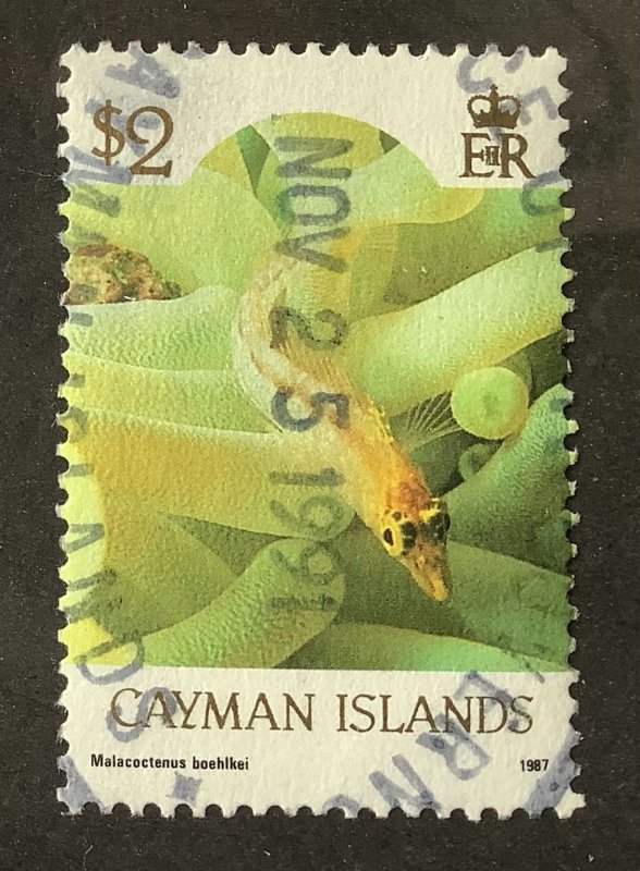 Cayman Islands 1986 Scott 572A used- $2, Marine life, Malacoctenus boehlkei 1987