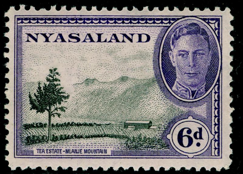 NYASALAND PROTECTORATE SG150, 6d black & violet, LH MINT.