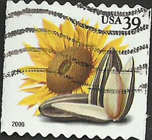 # 4005 USED SUNFLOWER AND SEEDS